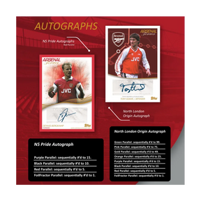 Illustrazione con Dennis Bergkamp e Tony Adams