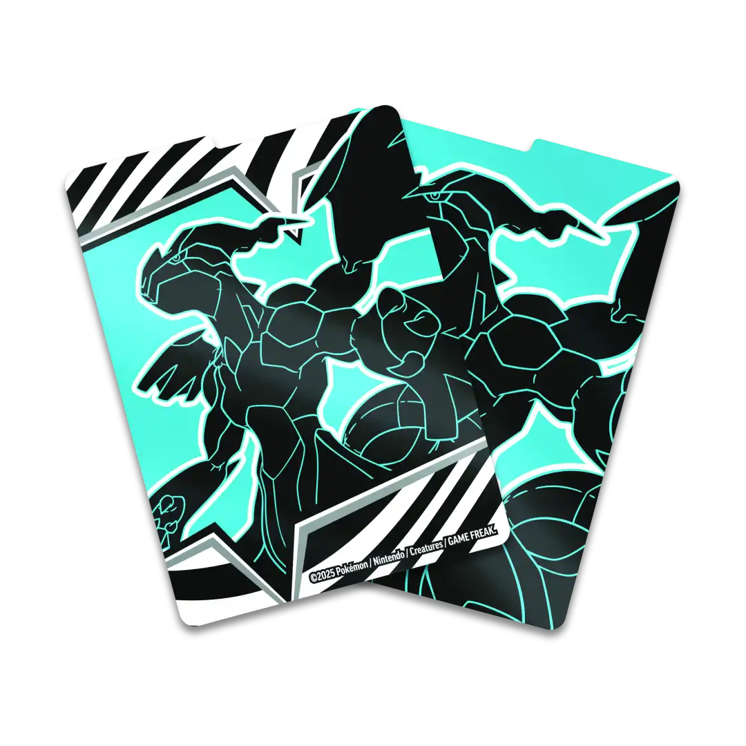Divisori interni azzurri e neri con illustrazione Zekrom dal Set Allenatore Fuoriclasse Pokémon Luce Nera.